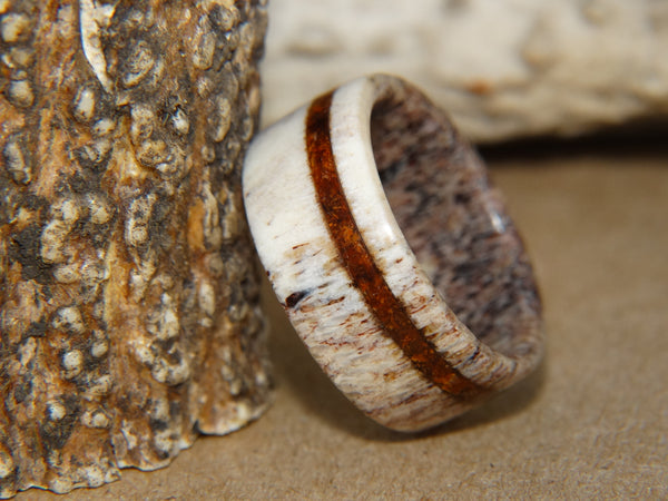 Antler Ring - "Ironwood" Deer Antler - artisan-antler-rings